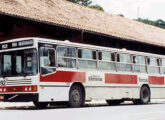 Urbanus com carroceria padron da Empresa Nossa Senhora da Glória, alocado às linhas troncais de Blumenau (SC); tinha chassi Volvo B58; o carro traz a primeira versão de padronização de pintura, introduzida com a inauguração do sistema integrado da cidade (fonte: Ivonaldo Holanda de Almeida / egonbus).