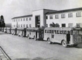 Em 1950, oito ônibus estacionados diante da fábrica de São Caetano aguardam a partida para a longa viagem até o destino final - Recife (PE) (fonte: Werner Keifer / Ivonaldo Holanda de Almeida).