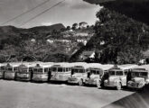 Um dos muitos Chevrolet operados nos anos 50 pela FAOL - Friburgo Auto Ônibus, de Nova Friburgo (RJ), ao lado de quatro coaches Ford e alguns lotações da mesma marca com carrocerias de fabricantes diversos (fonte: Ivonaldo Holanda de Almeida / Pérolas da Eviternidade).