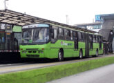 Ciferal em chassi articulado Volvo atuando no sistema integrado urbano da cidade-capital da Guatemala.