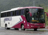 Outro Vision 3.65 no mesmo chassi K 310 IB, este na frota da Hibisco Turismo, de Belo Horizonte (MG) (foto: Rafael da Silva Xarão / onibusbrasil).