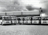 Foto da frota de ônibus Cisne da Rodovel, tomada por ocasião da inauguração da nova garagem da empresa, em 1980 (fonte: livro "Viagens pela Cidade").