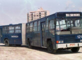 Articulado Torino sobre Scania S 113 CL na frota da Viação Rocio, de Paranaguá (PR) (foto: Osvaldo Born / onibusbrasil).