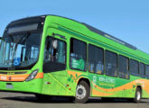 Um dos dois ônibus elétricos Byd D9W fornecidos para Bauru (SP) em 2018 (foto: Diego Leão / automotivebusiness).