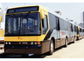 Os dois trólebus articulados paulistanos pintados no padrão do sistema VLP (foto: Jorge Françoso de Moraes; fonte: Ivonaldo Holanda de Almeida / portaldoonibus).