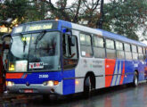 Viale em chassi Mercedes-Benz O 500 M da Viação Osasco atuando no transporte metropolitano de São Paulo (SP) (foto: Leandro Machado de Castro / onibusbrasil).