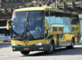 Outro Paradiso 1200 do Expresso Brasileiro, diferente do anterior pelos para-brisas dianteiros, com divisão vertical em lugar de horizontal (foto: Raphael Malacarne / loucosporonibus).