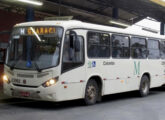 Outro Senior Midi paranaense com a mesma mecânica, este da Viação Colombo, atendendo às linhas metropolitanas de Curitiba (foto: Jonas de Almeida Cabral / onibusbrasil).