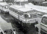 Parte da frota de 15 Metropolitana em chassi Mercedes-Benz LP-321 adquirida em 1963 pela extinta Companhia Viação Sul Bahiano, de Itabuna (BA) (fonte: Jorge A. Ferreira Jr.).