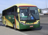 Ônibus semelhante, de igual modelo e motor OF idêntico, este pertencente à TREL - Transturismo Rei, de Duque de Caxias (RJ) (foto: Wallace Barcellos / onibusbrasil).