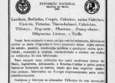 Primeira publicidade de página inteira, de 1870, que relaciona a vasta linha de modelos construídos pela Röhe.