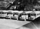 Parte da frota da FAOL - Friburgo Auto Ônibus, de Nova Friburgo (RJ), no início dos anos 50: a partir da direita, quatro Fords - respectivamente com carrocerias Claussen, Grassi, Caio e não identificada - e um coach Chevrolet nacional.