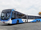 Outro Viale BRS campinense da mesma série (foto: Fábio Takahashi Tanniguchi / onibusbrasil).