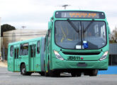 Torino Express em chassi articulado Mercedes-Benz O-500 MA nas cores do sistema inegrado metropolitano de Curitiba, na frota da operadora Expresso Azul, de Pinhais (foto: Natanael Razzotto / onibusbrasil).